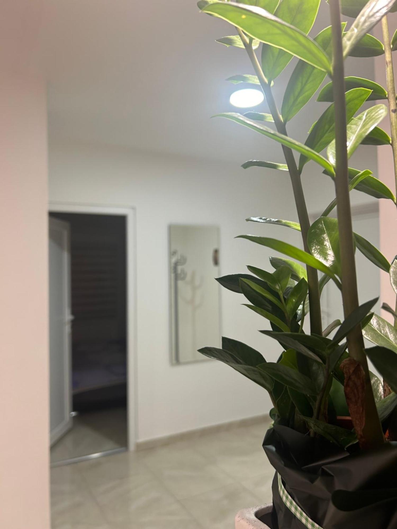 Apartman Diamond Lux Surčin Εξωτερικό φωτογραφία