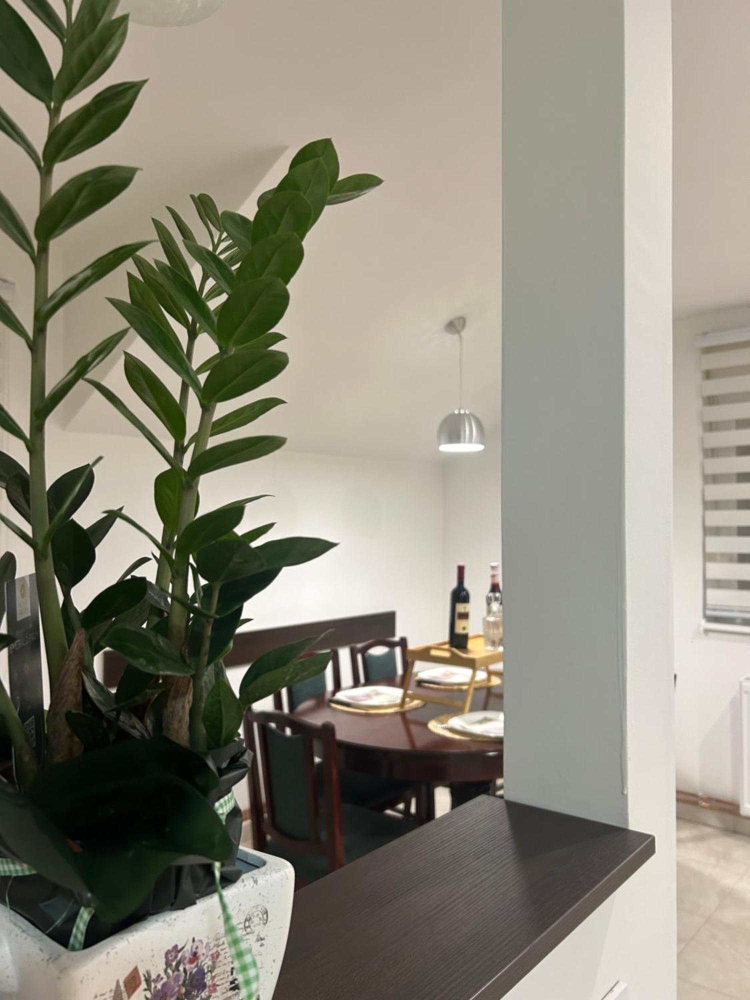 Apartman Diamond Lux Surčin Εξωτερικό φωτογραφία