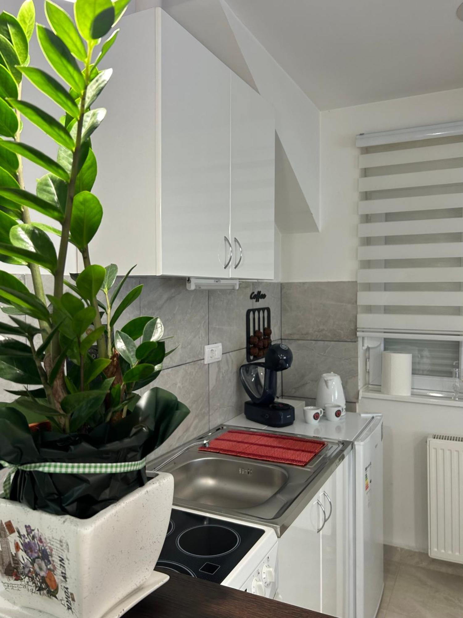 Apartman Diamond Lux Surčin Εξωτερικό φωτογραφία